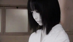 Ju-On: White Ghost & Black Ghost (Ju-on: Shiroi rôjo) (2009